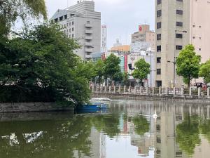 今日の白鳥