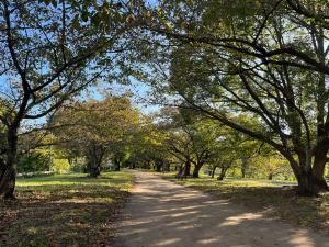 石手川公園