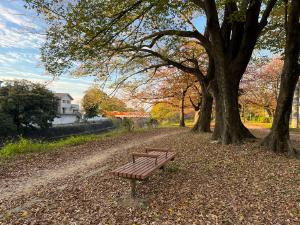 石手川公園の秋