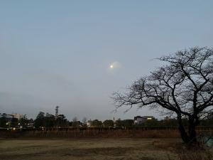 西の空の月