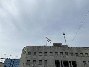 伊予銀行本店屋上の鯉のぼり