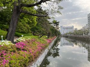 堀之内公園のツツジ