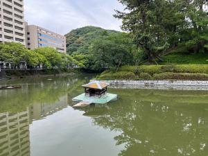 今日の水鳥