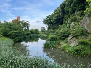 道後公園のサギ