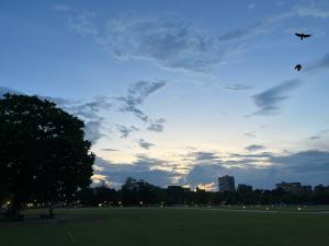 夜の堀之内公園