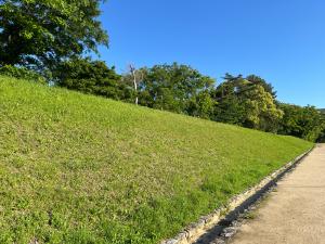 堀之内公園の土手