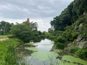 梅雨空のもとの道後公園