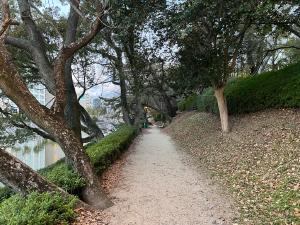 堀之内公園内の小道