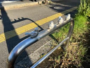 歩道脇の柵に小鳥の造形物