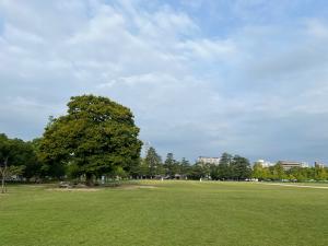 堀之内公園