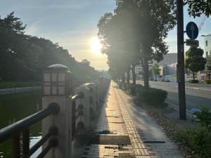 朝陽の逆光