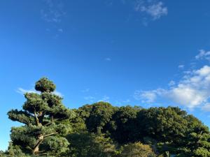 道後公園