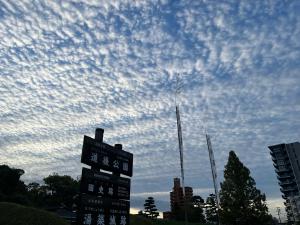 道後公園の空