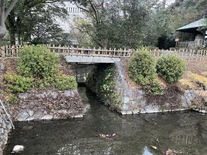 道後公園の石の橋