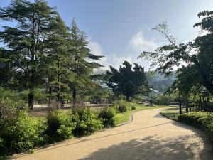 晴れの道後公園