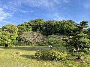 道後公園