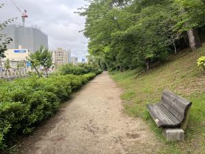お堀側の小道