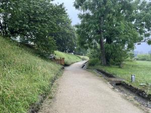 道後公園の霧雨