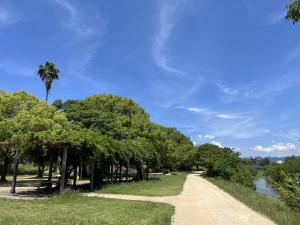 石手川公園での日差し