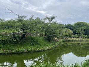 道後公園のお堀