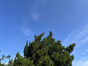 晴れて青空