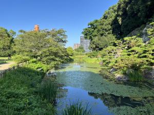 道後公園の池
